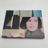susan sontag box, collage on box